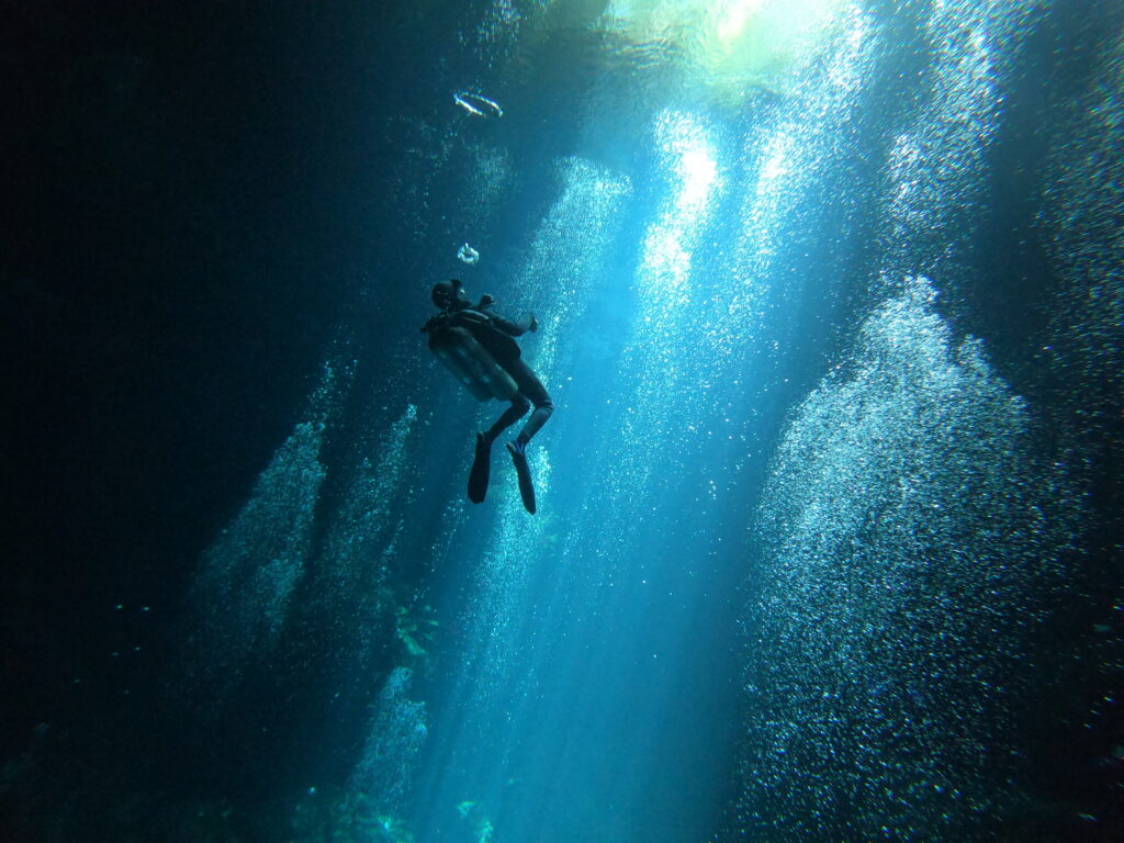 Diving Tulum